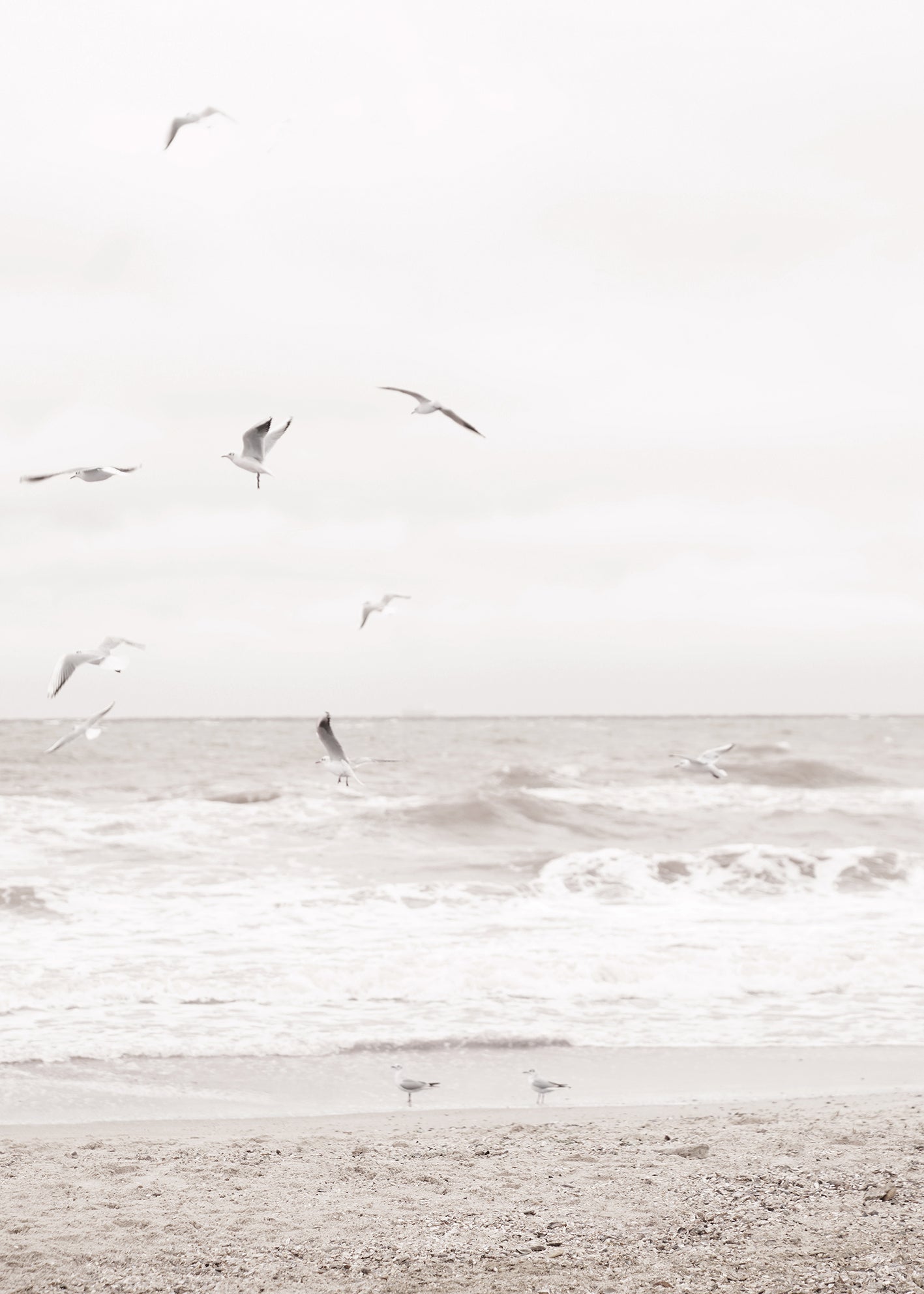 Ljuddämpande tavla - Soar Over The Sea