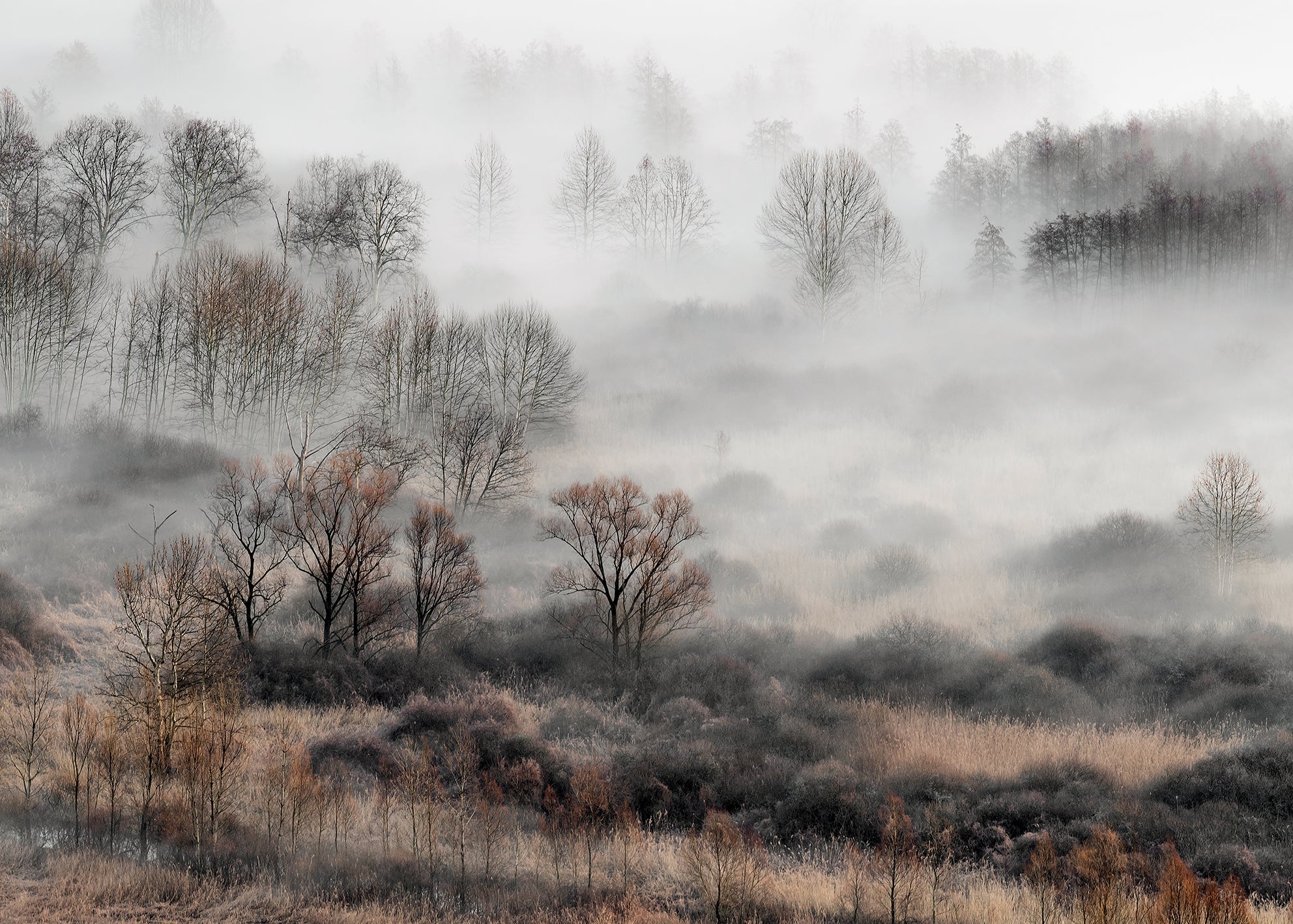 Ljuddämpande tavla - Foggy Morning