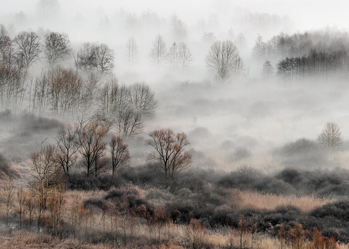 Ljuddämpande tavla - Foggy Morning
