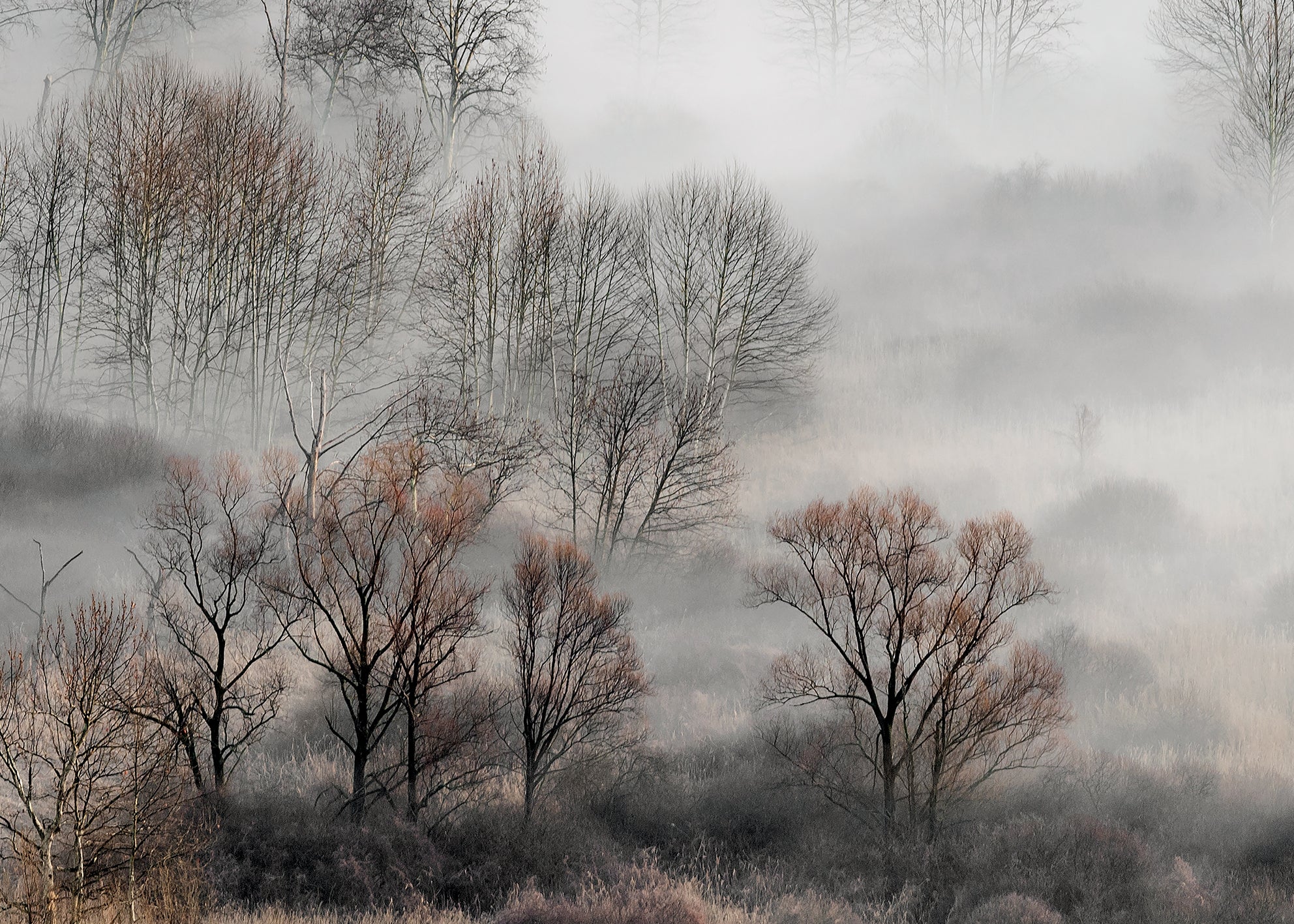 Ljuddämpande tavla - Foggy Morning