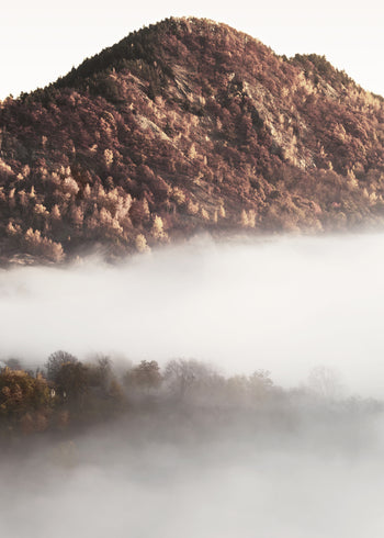 Ljuddämpande tavla - Misty Morning
