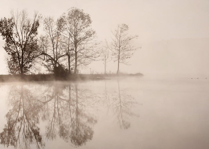 Ljuddämpande tavla - Poetic Lake
