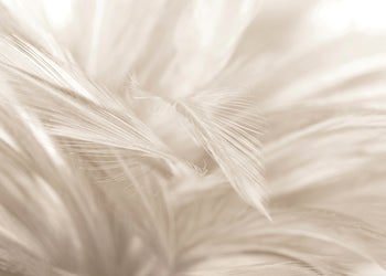 Ljuddämpande tavla - Soft Feathers