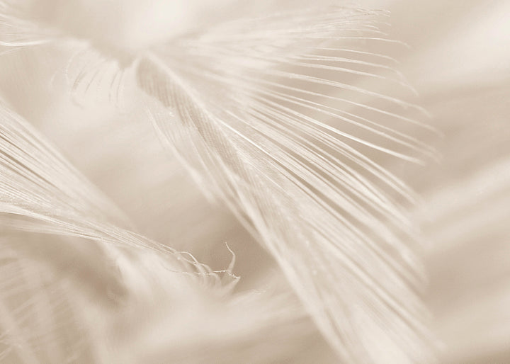 Ljuddämpande tavla - Soft Feathers