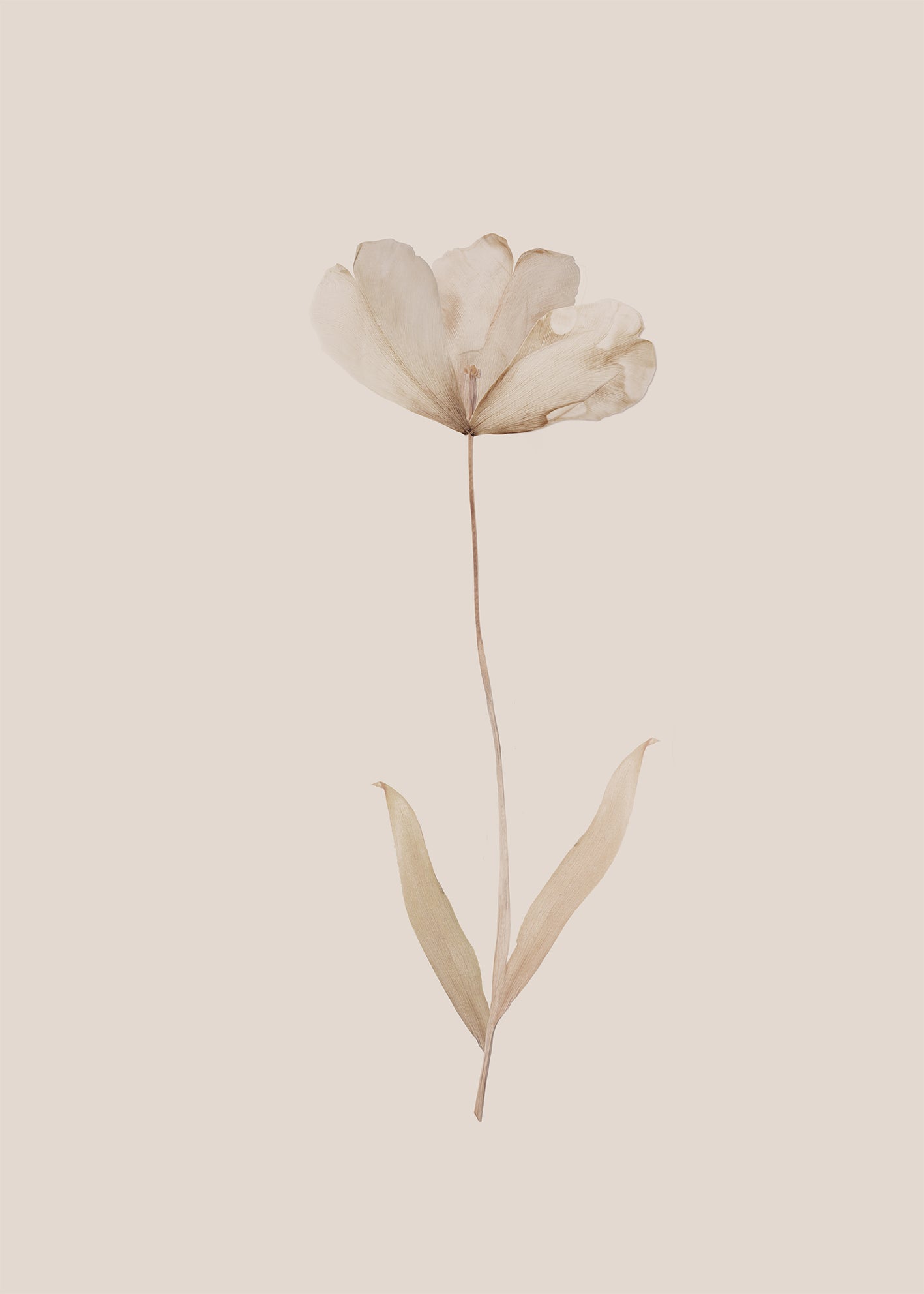 Ljuddämpande tavla - Flower in Fall
