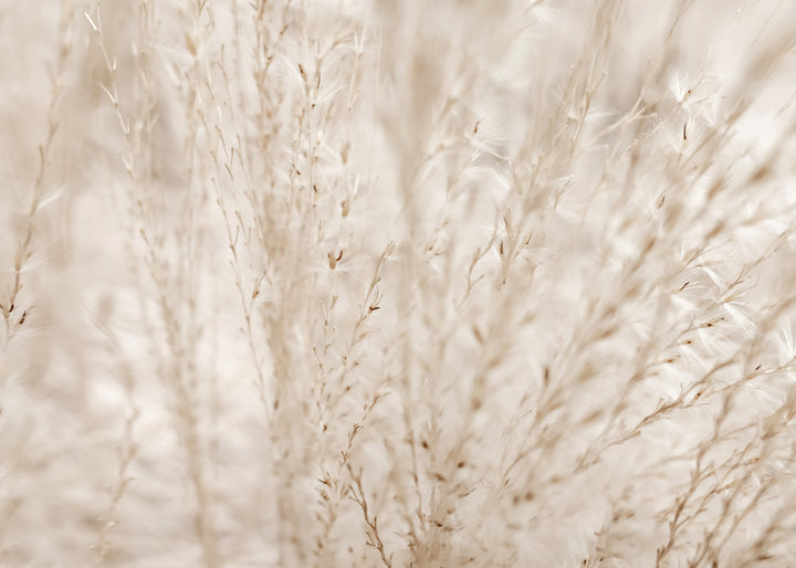 Ljuddämpande tavla - Autumn Fields