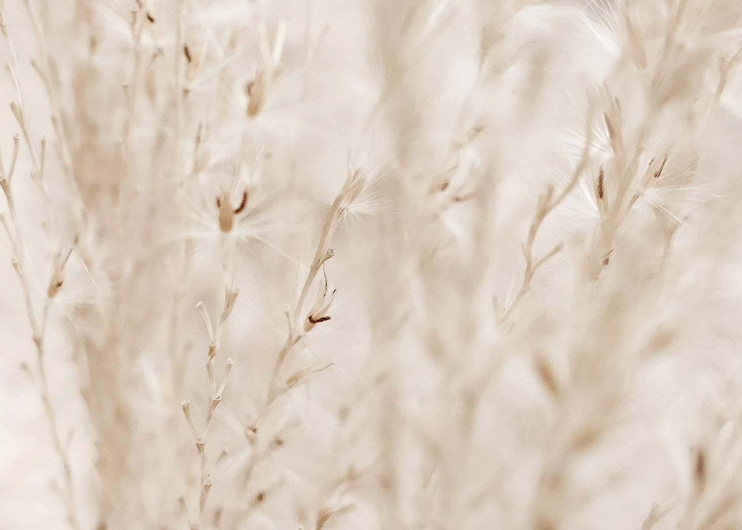 Ljuddämpande tavla - Autumn Fields