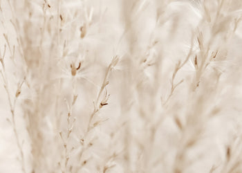 Ljuddämpande tavla - Autumn Fields