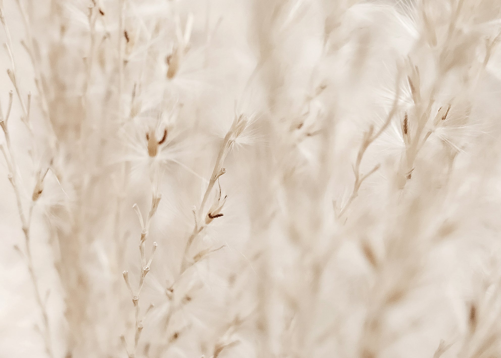 Ljuddämpande tavla - Autumn Fields