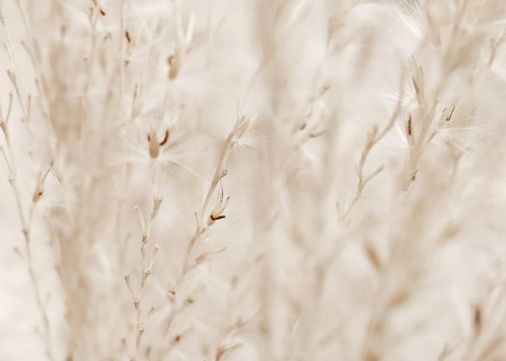 Ljuddämpande tavla - Autumn Fields