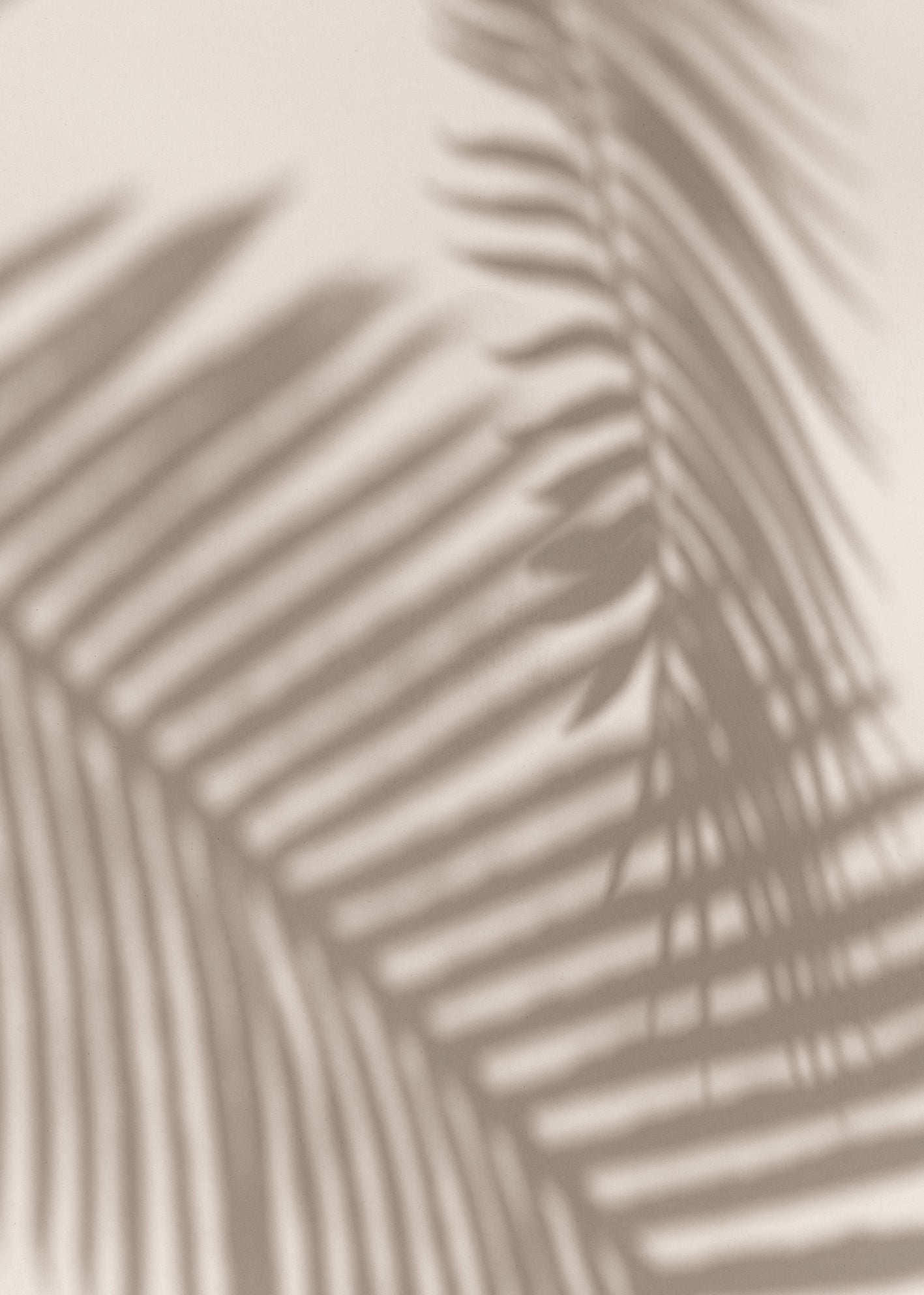 Ljuddämpande tavla - Palm and Shadows