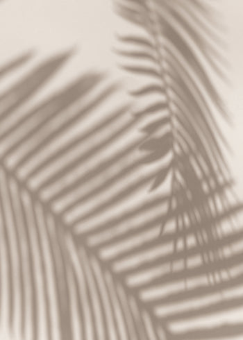 Ljuddämpande tavla - Palm and Shadows