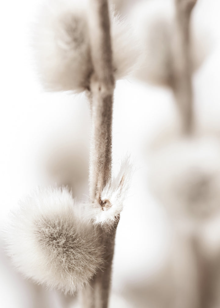 Ljuddämpande tavla - Willow Buds