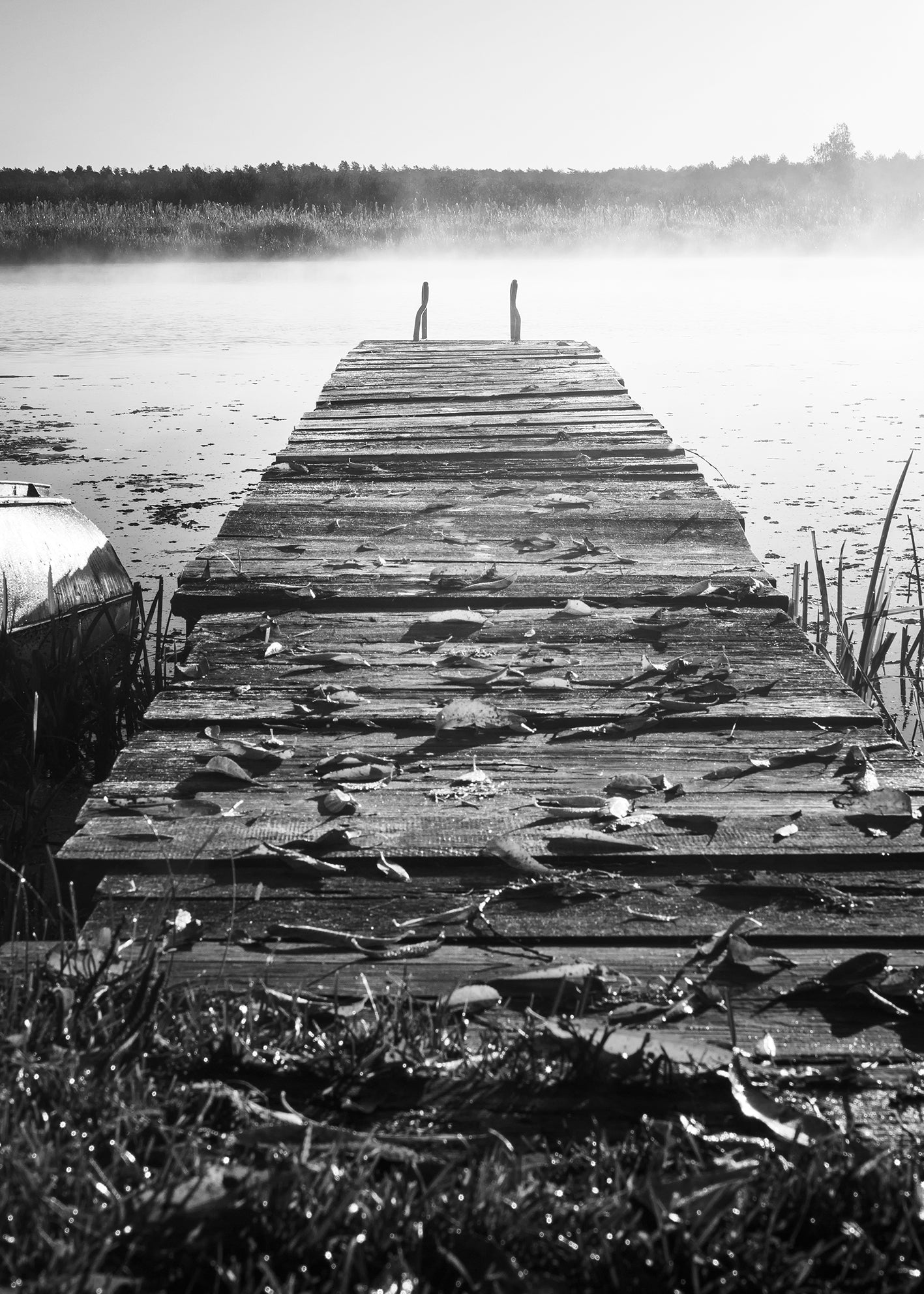 Ljuddämpande tavla - Into The Distance