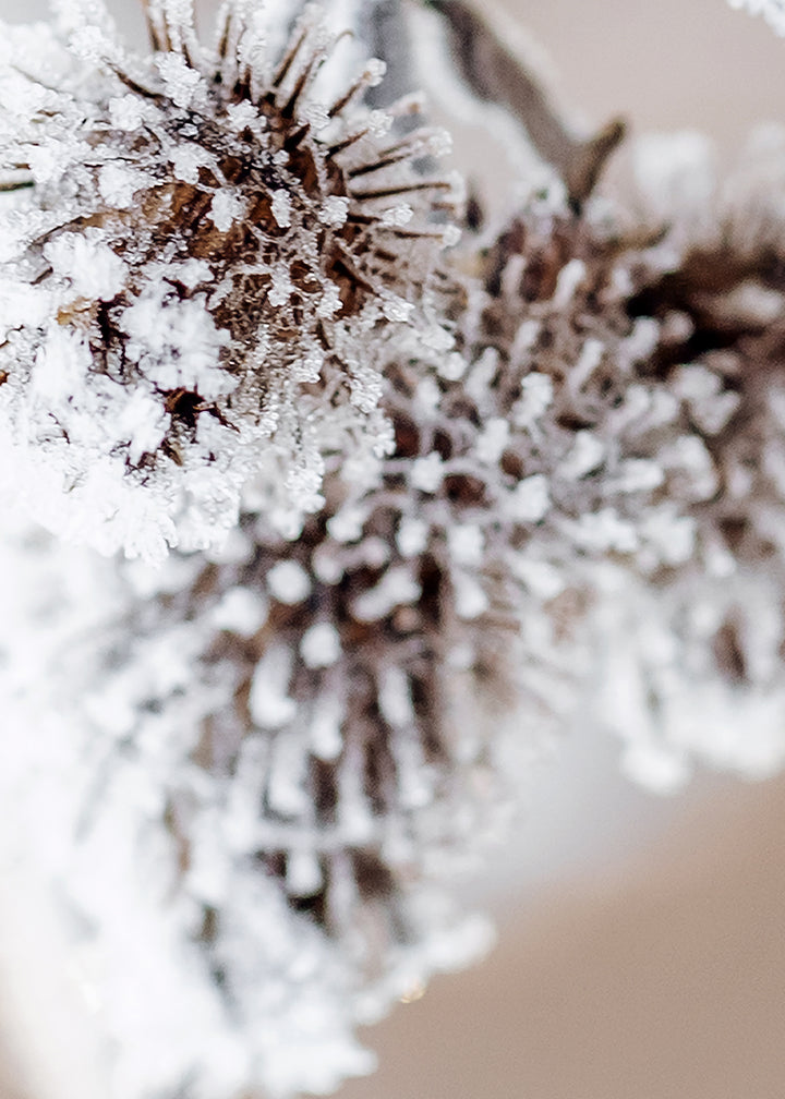 Ljuddämpande tavla - Frosty Shrub