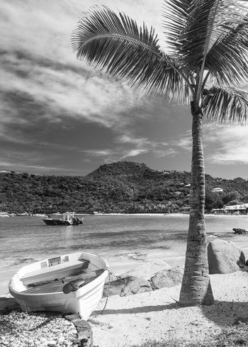 Ljuddämpande tavla - West Indies