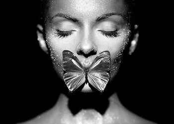 Ljuddämpande tavla - Love is like a butterfly