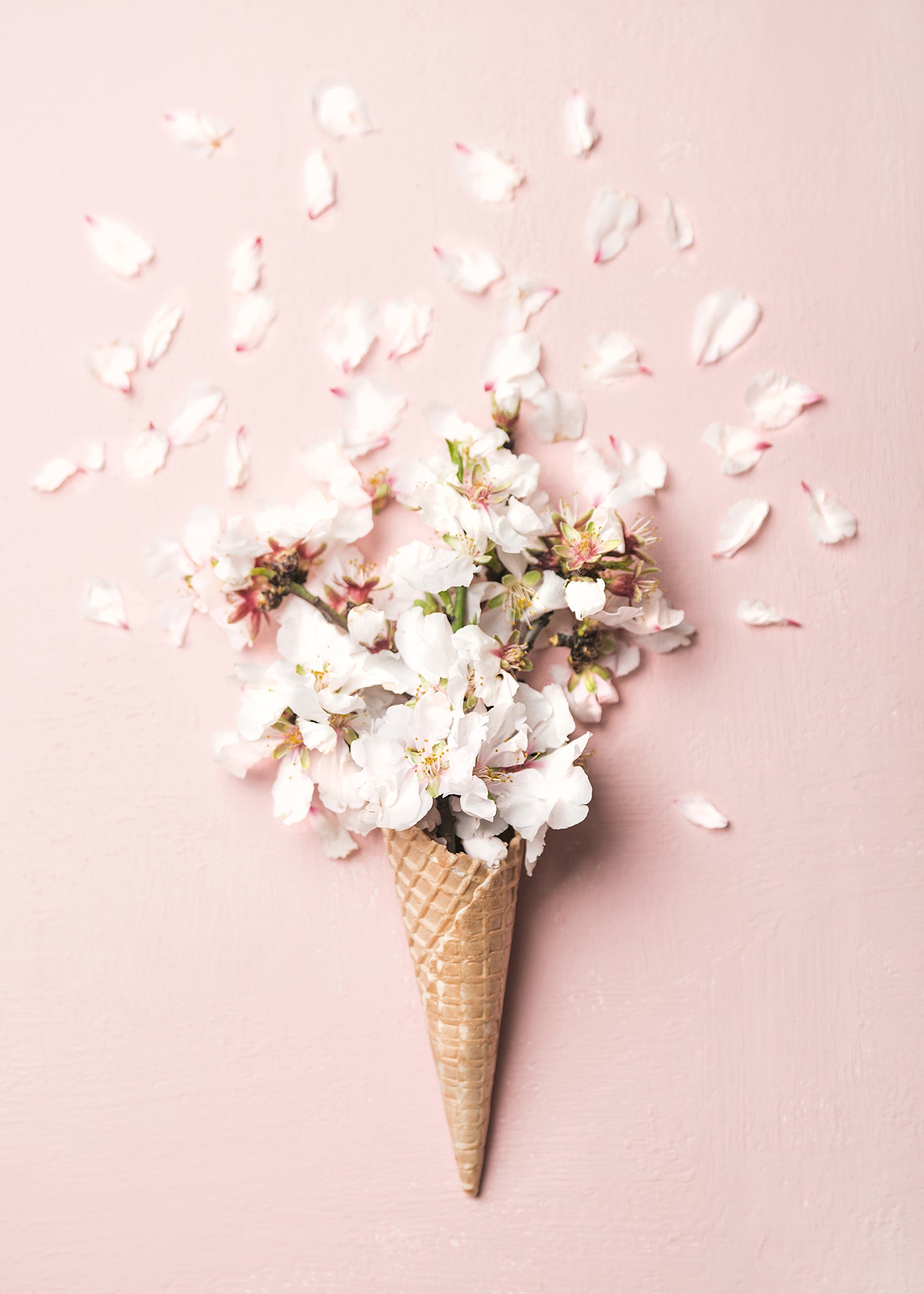 Ljuddämpande tavla - Flower Cream