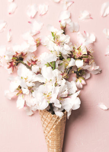Ljuddämpande tavla - Flower Cream