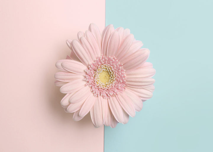 Ljuddämpande tavla - Gerbera