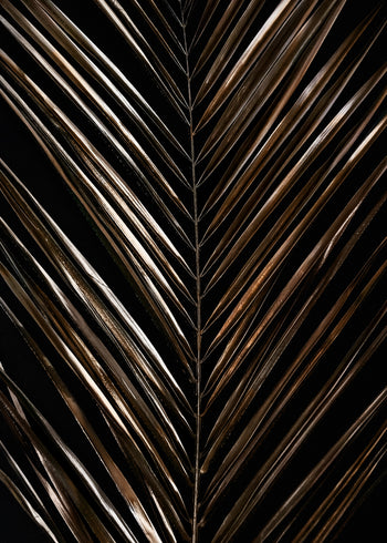 Ljuddämpande tavla - Areca