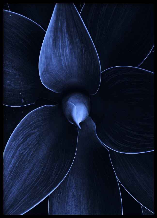 Poster - Flos