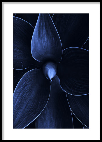 Poster - Flos