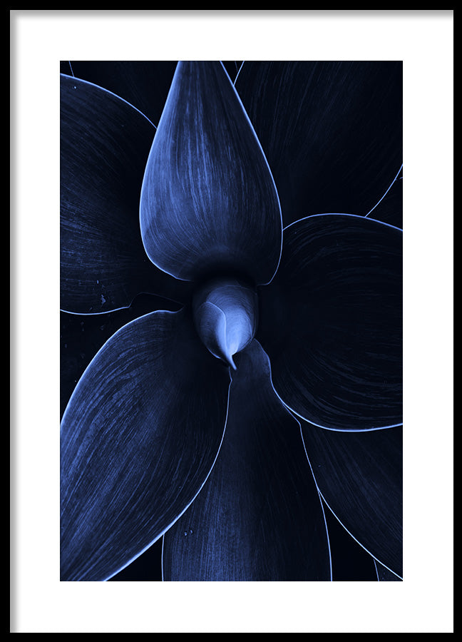 Poster - Flos
