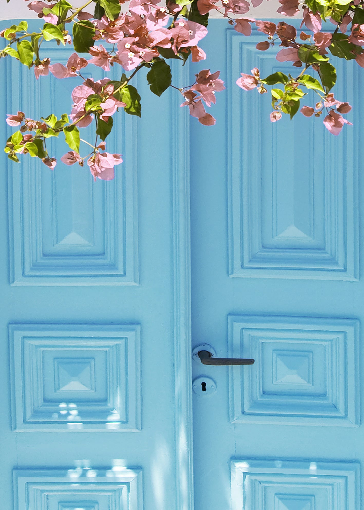 Canvastavla - Blossom Doorway