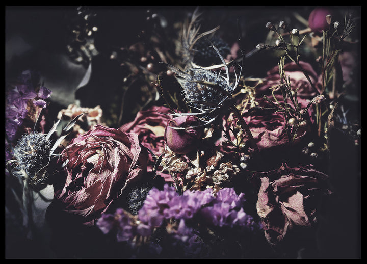 Poster - Wild Rose