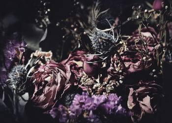 Canvastavla - Wild Rose