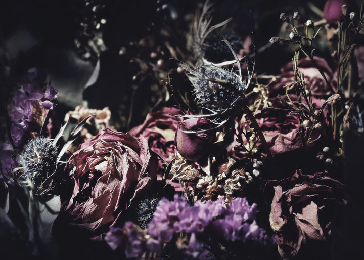 Canvastavla - Wild Rose