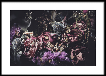 Poster - Wild Rose