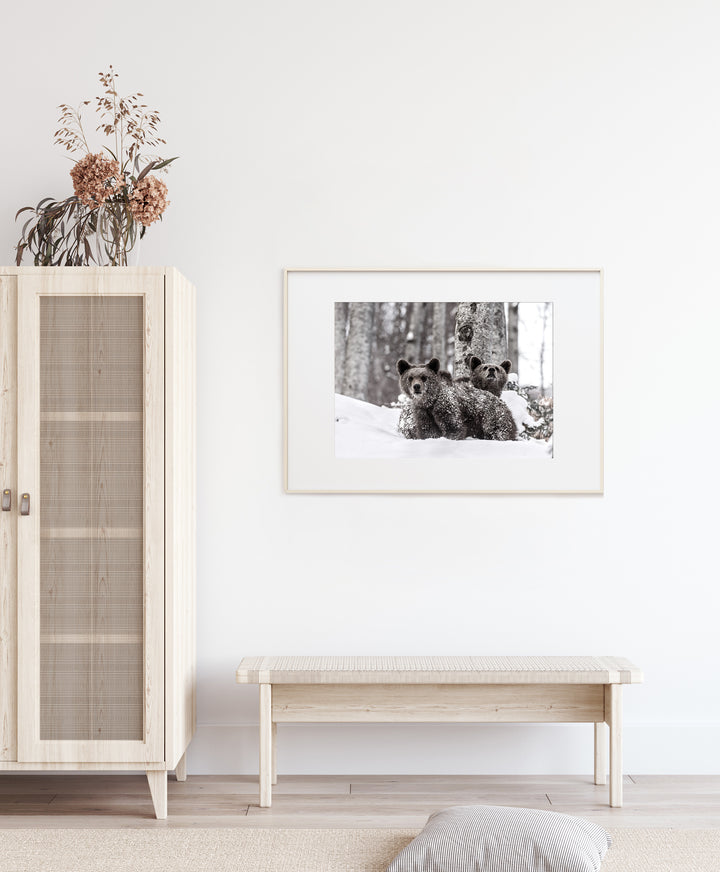 Poster - Snowplay