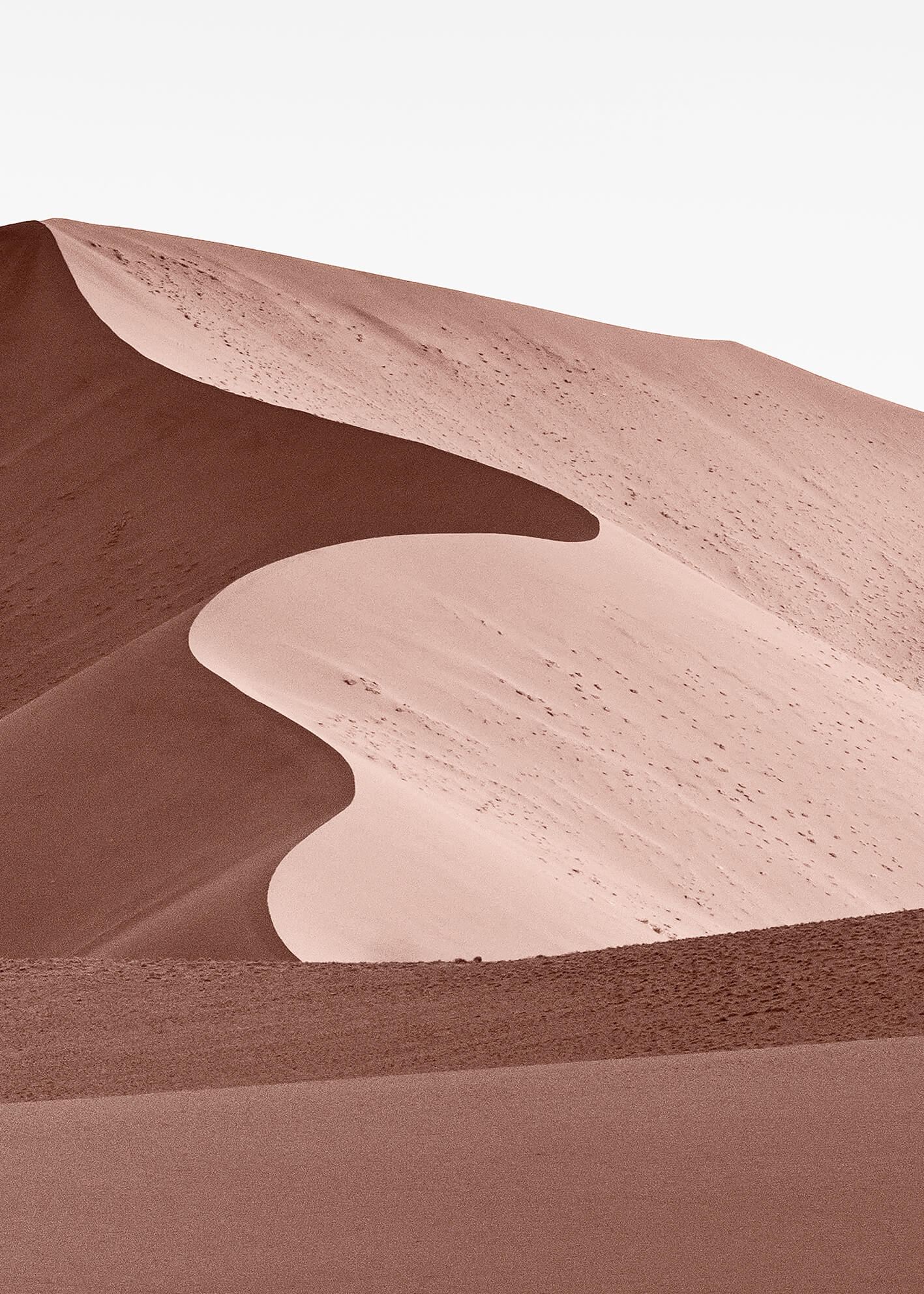 Canvastavla - Sahara