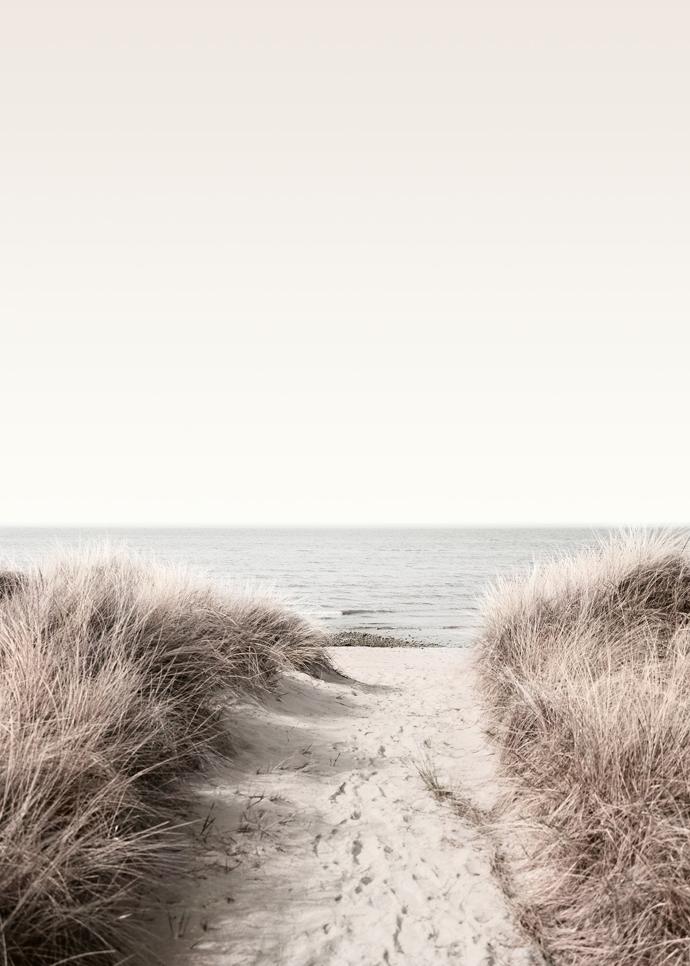 Canvastavla - Ocean Shore (80x120cm)