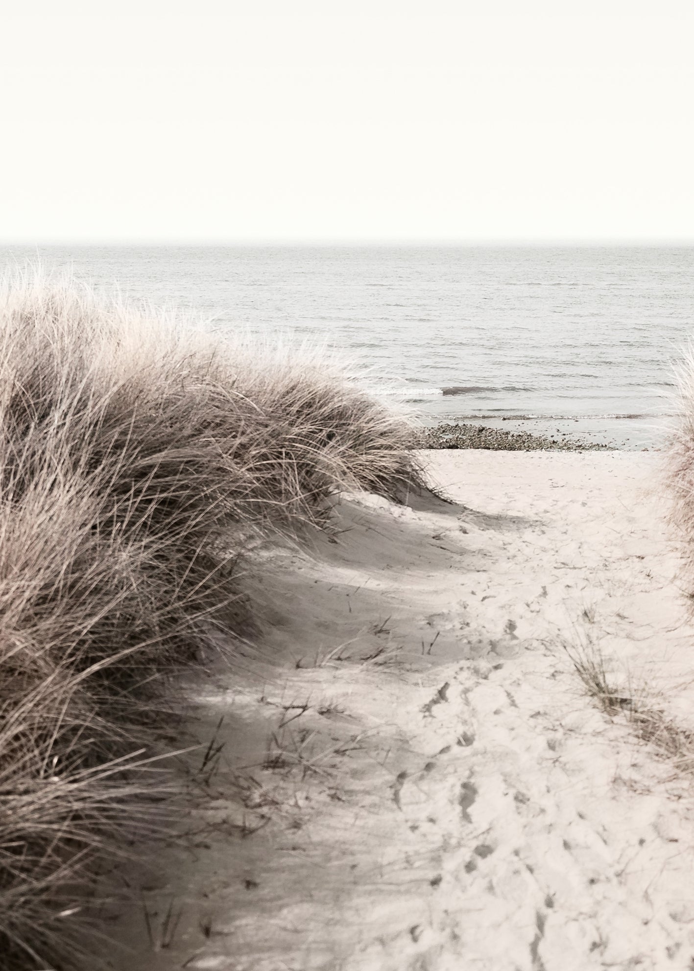 Canvastavla - Ocean Shore (80x120cm)