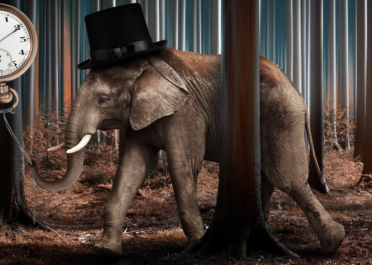 Ljuddämpande tavla - Elephant time