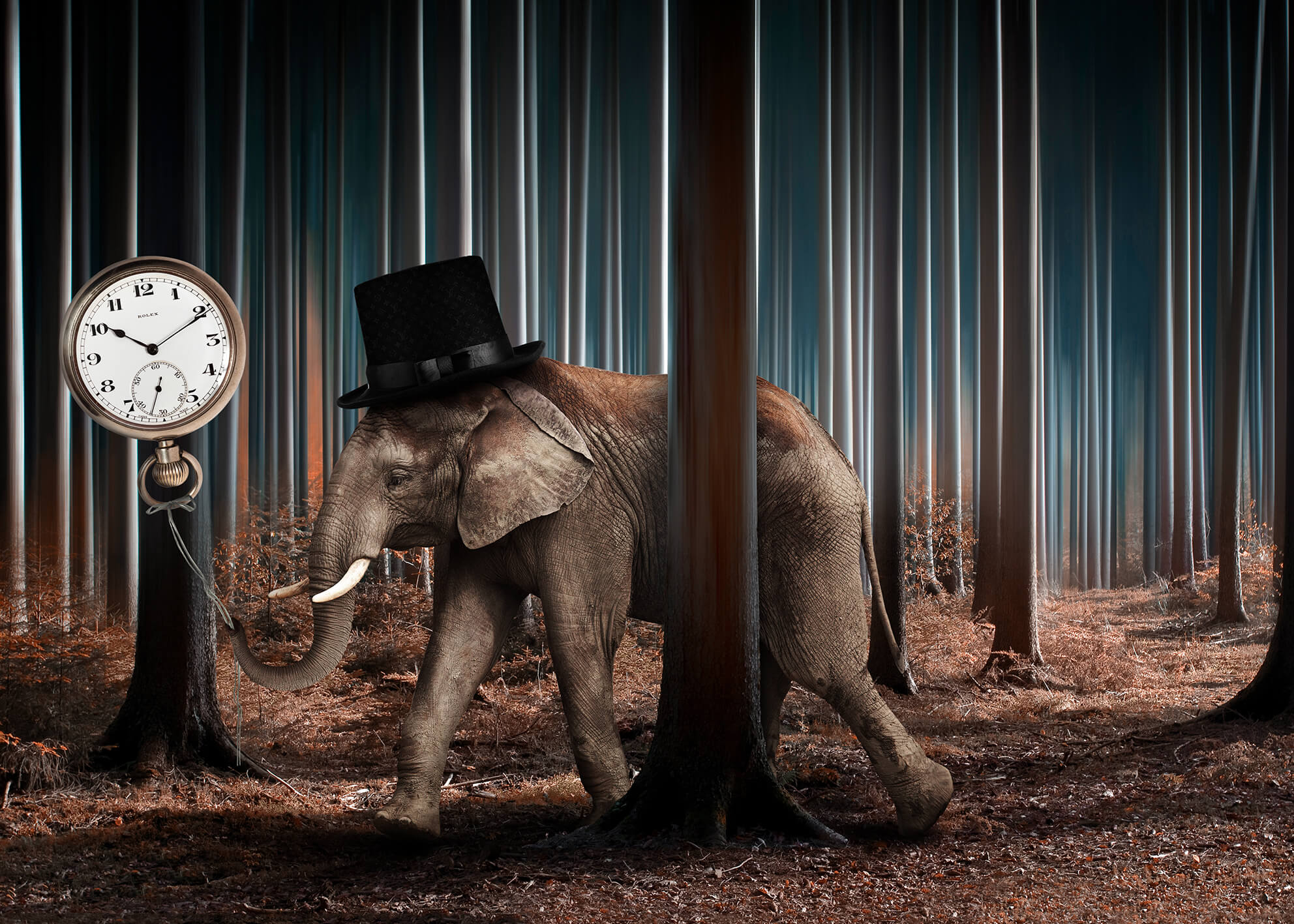 Ljuddämpande tavla - Elephant time