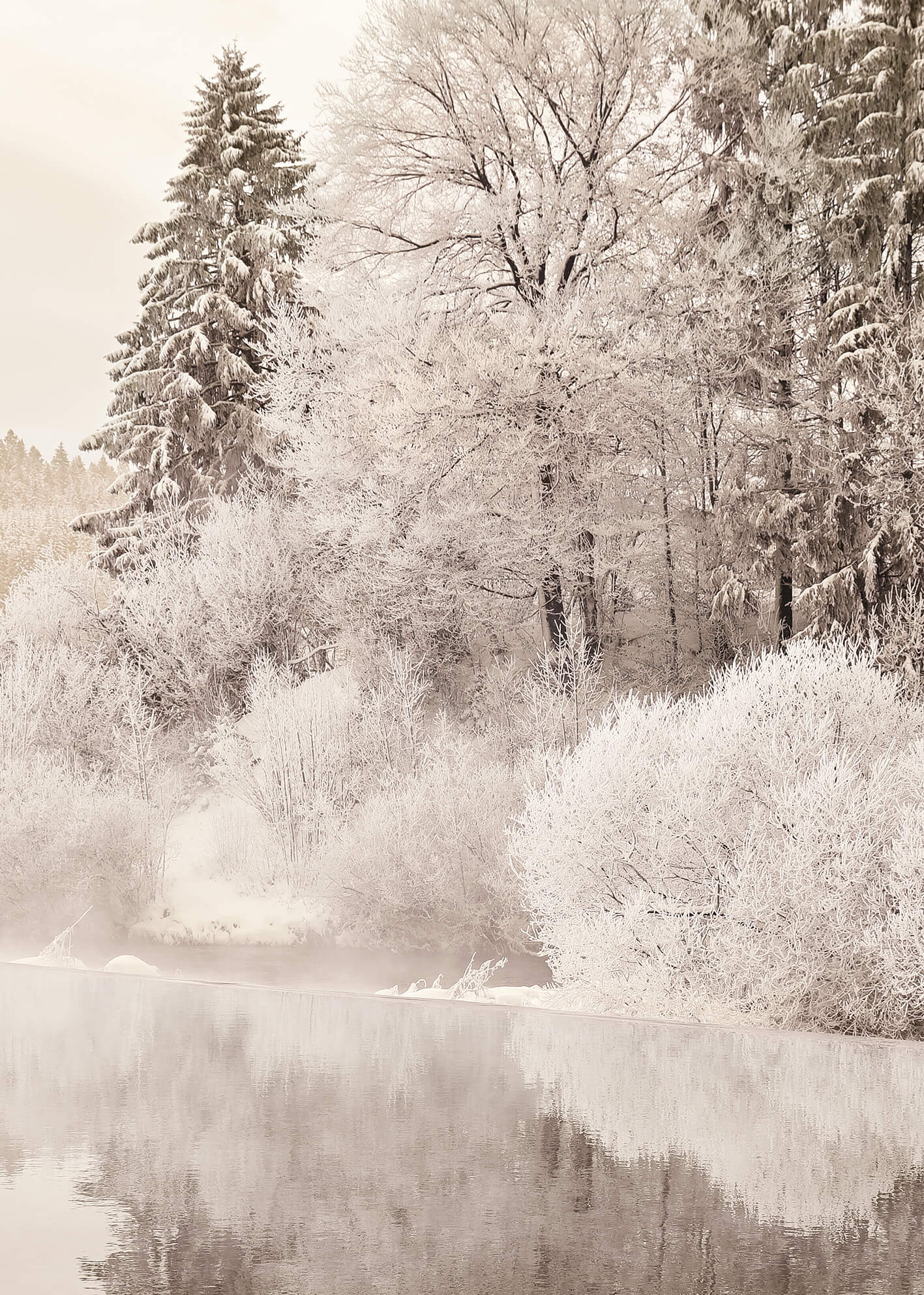 Ljuddämpande tavla - Trees in Winter