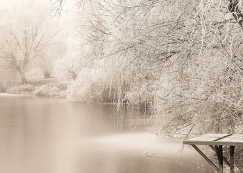 Ljuddämpande tavla - Frozen Tree