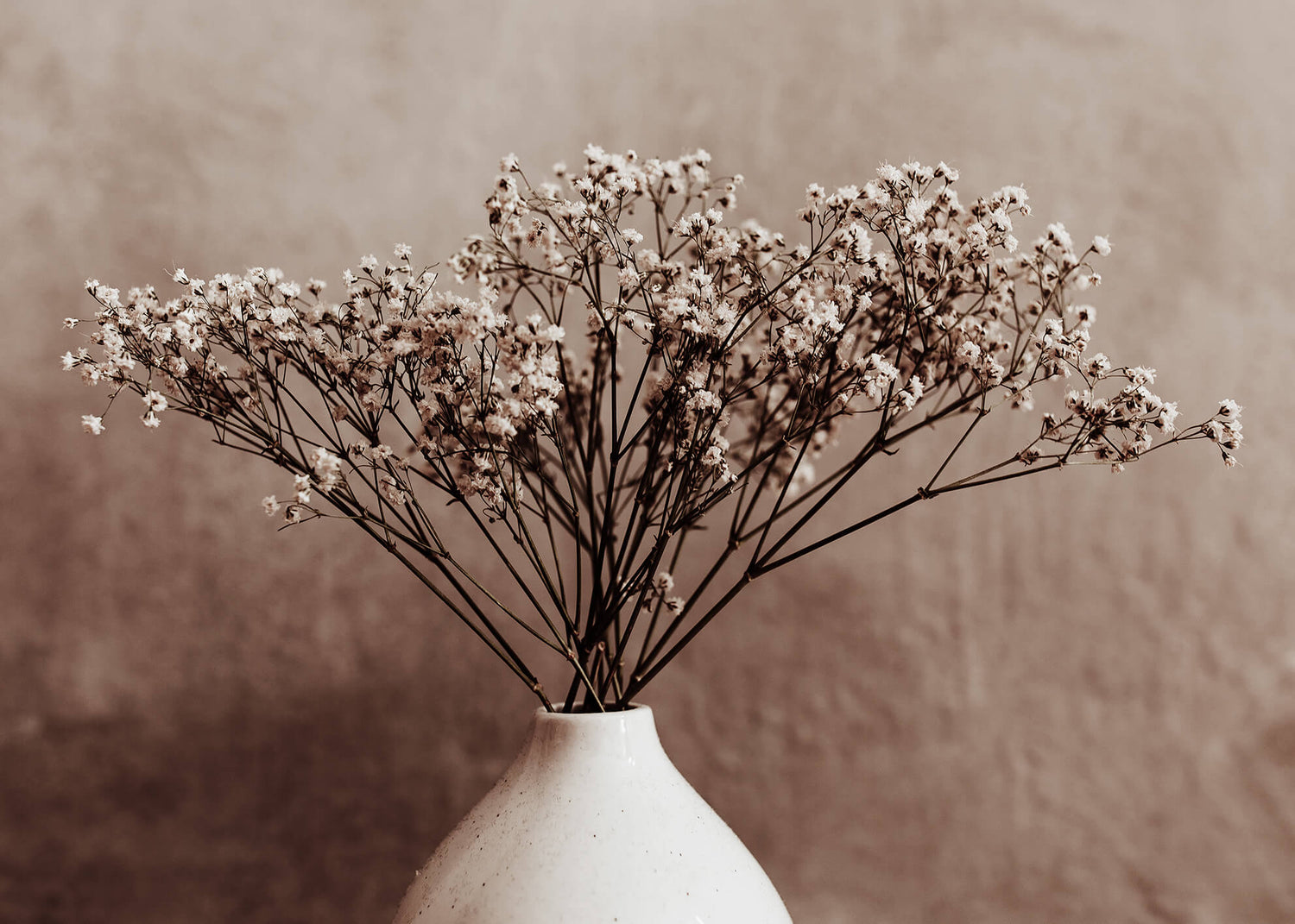 Ljuddämpande tavla - Dried Twig flower