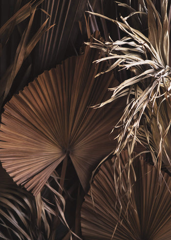 Ljuddämpande tavla - Dried Tropical leaves