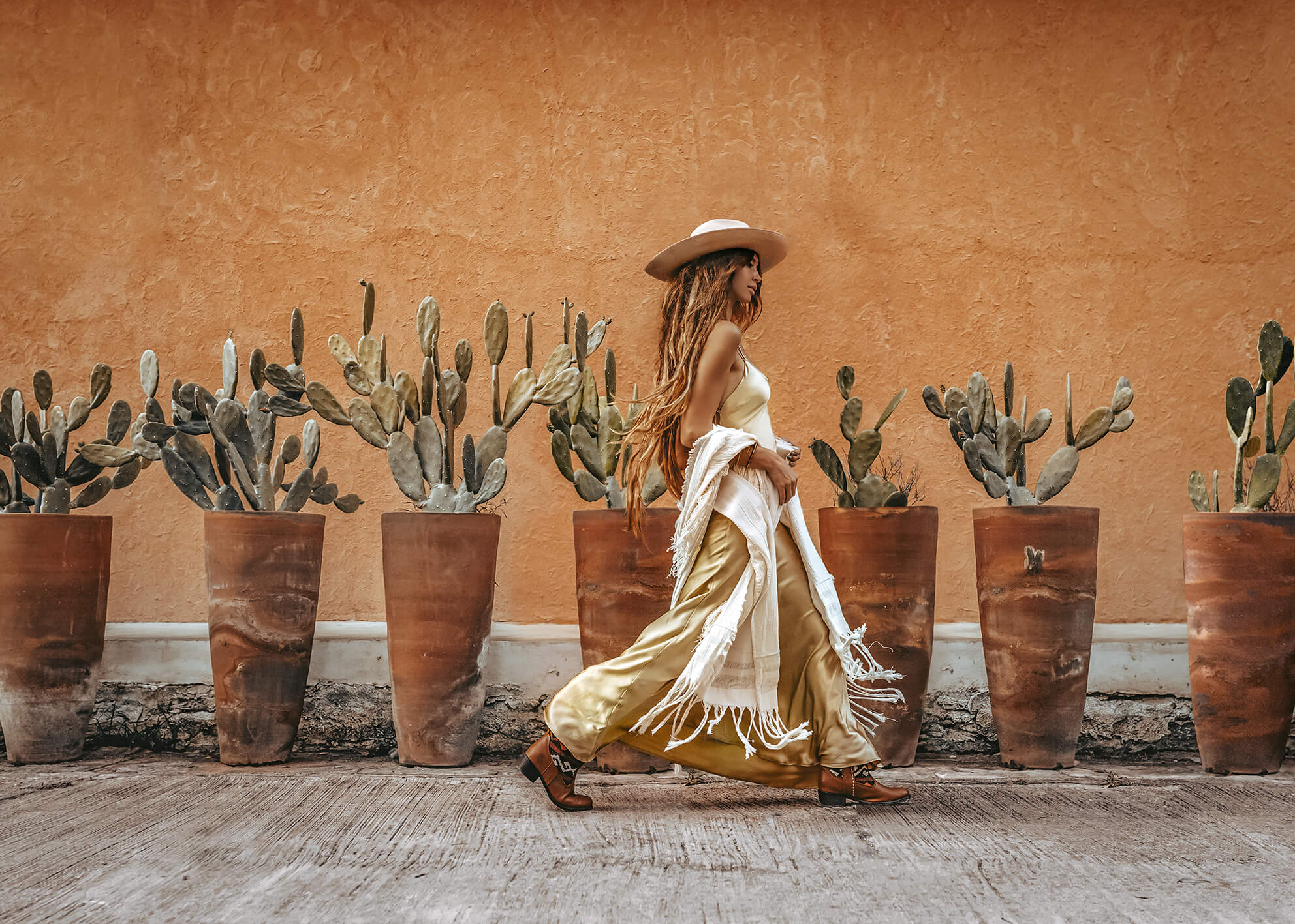 Ljuddämpande tavla - Cactus Desert
