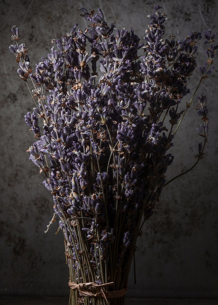 Ljuddämpande tavla - Dry Lavender
