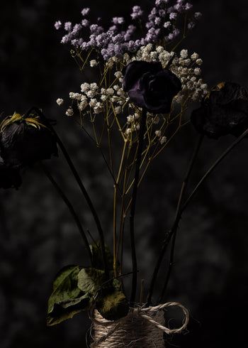 Ljuddämpande tavla - Dry Flowers