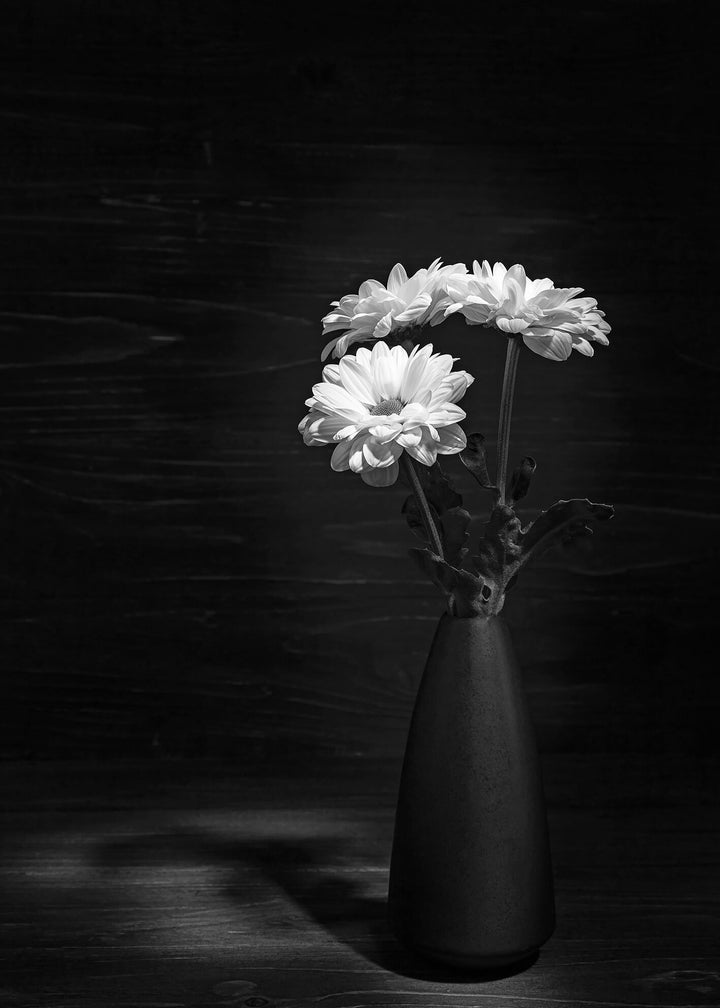 Ljuddämpande tavla - Daisy flower