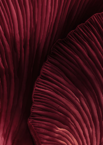 Ljuddämpande tavla - Viva Magenta