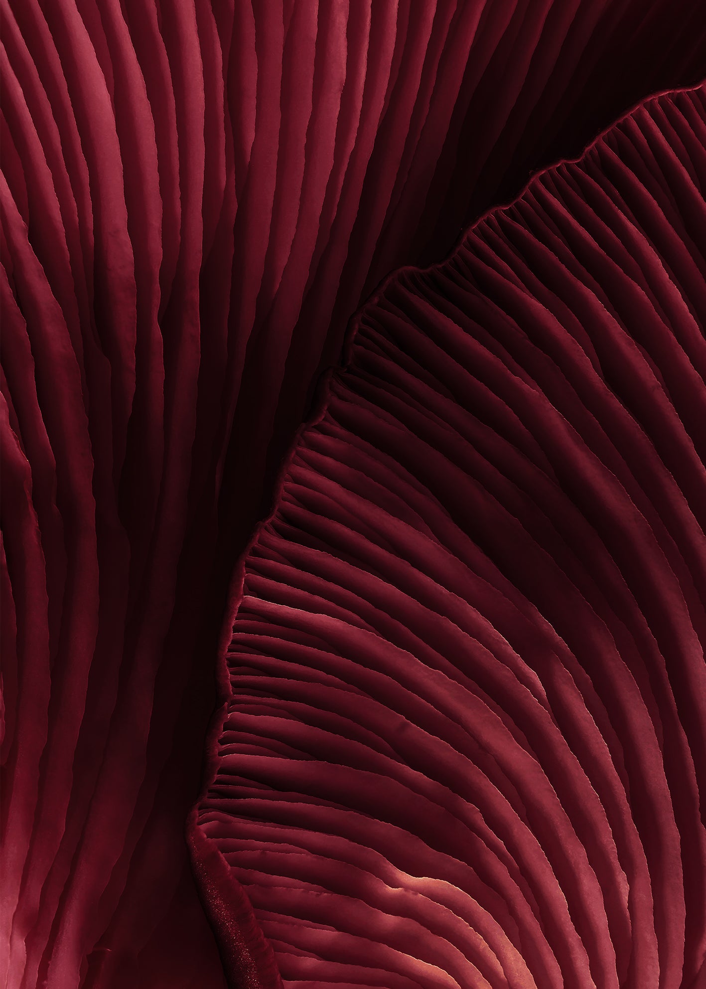 Ljuddämpande tavla - Viva Magenta