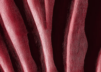 Ljuddämpande tavla - Magenta sand